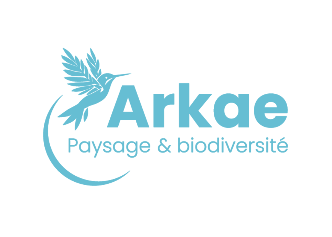 ref_arkae.png